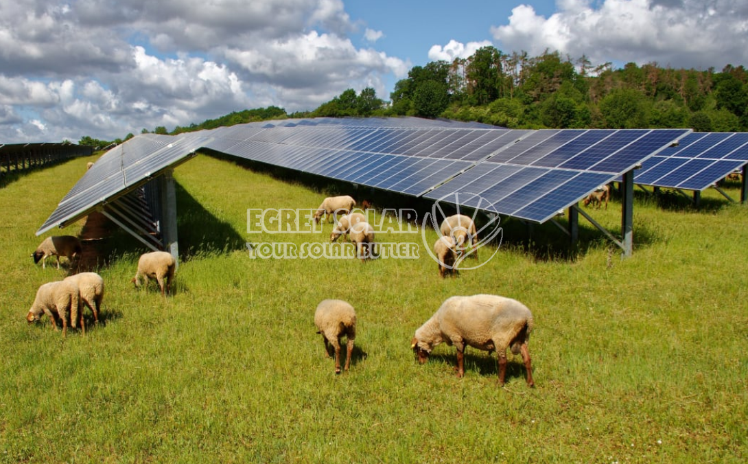 Strategická spolupráce mezi Egret Solar New Energy Technology a Smart Concept Energy