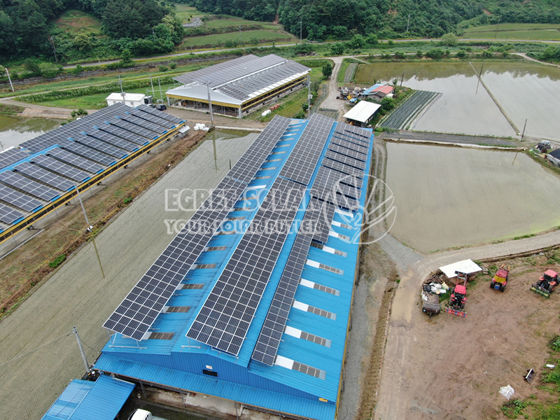 Analýza trhu solární energie v Jižní Koreji